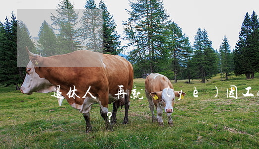 退休人員“再就業(yè)”，因工受傷怎么辦？